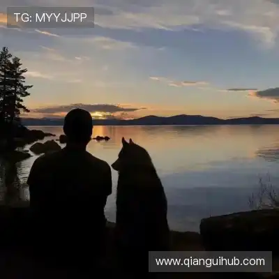 韶诚洁